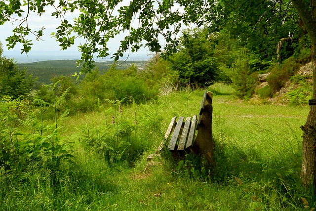 级联赛标准 级联赛标准