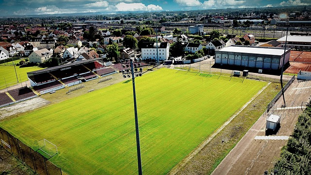 够显著提高 够显著提高