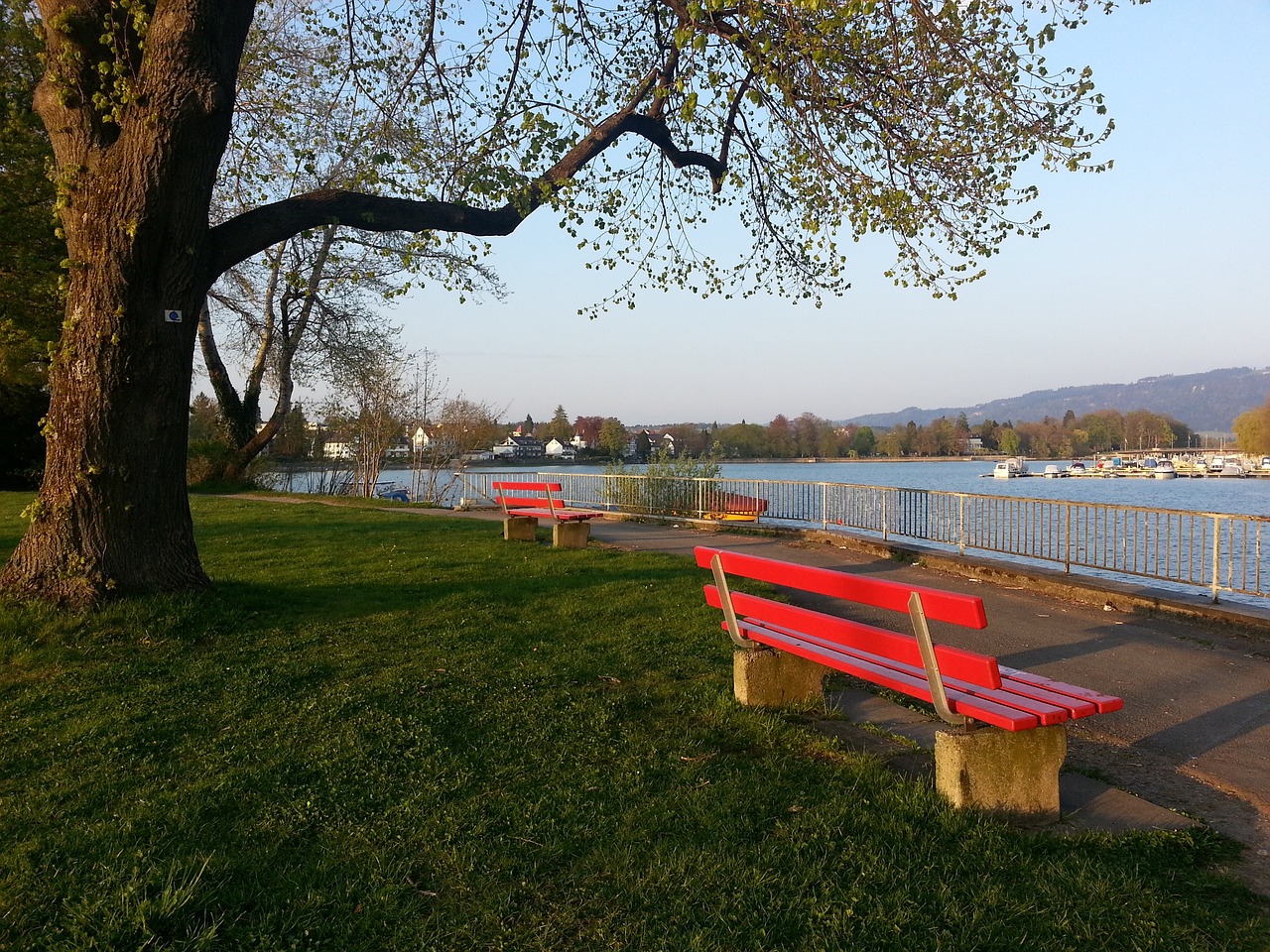 择一些拥有 择一些拥有