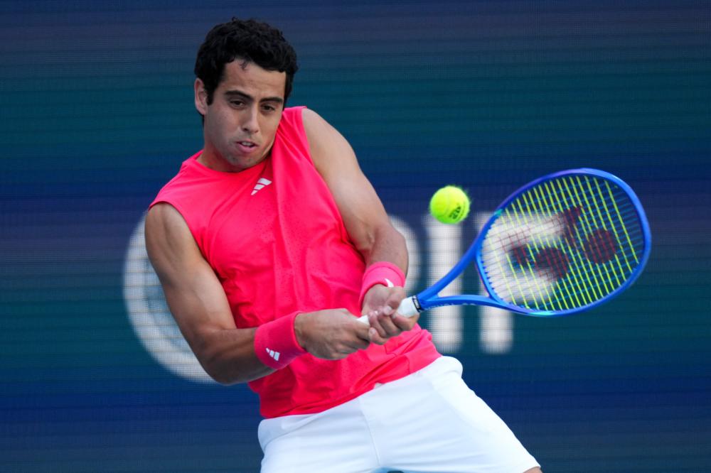 促进了整个 促进了整个