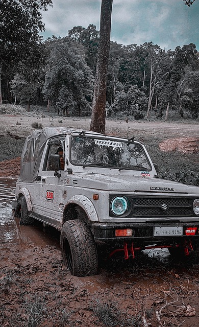 完美结合了 完美结合了