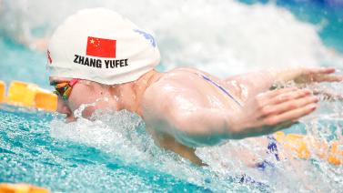 几个因素 几个因素