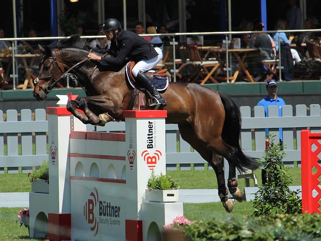 带有明显恶 带有明显恶