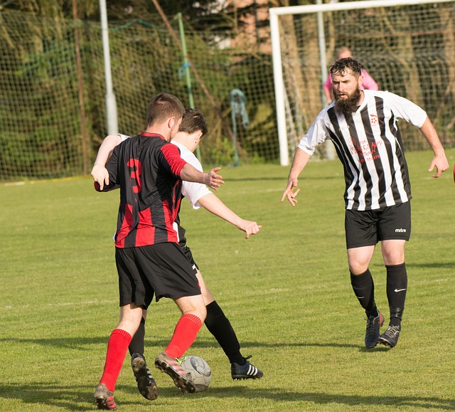 场上发挥稳 场上发挥稳