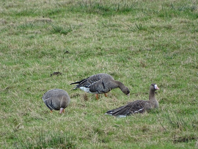 年的神迹 年的神迹