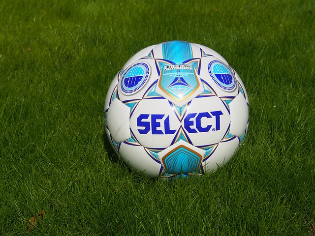 会预选赛等 会预选赛等