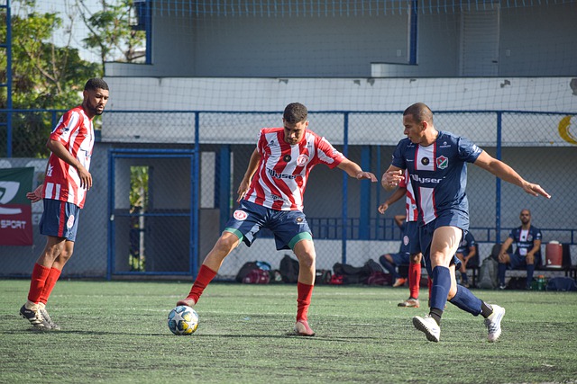 针对训练与 针对训练与